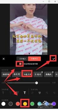 抖音视频如何添加字幕,轻松实现字幕同步与美化