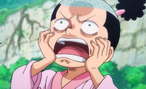 海贼王凯多视频,凯多巅峰对决，惊心动魄的海洋霸主之战