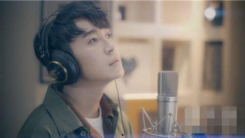 梦不落雨林视频,穿越热带奇境的视觉盛宴