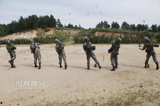 手榴弹视频,实战视频解析
