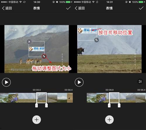 视频开始图片,探寻画面背后的故事