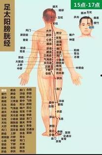 自己打通膀胱经视频,视频教程详解