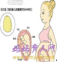 孕35周视频,宝宝成长加速，准妈妈注意事项大盘点