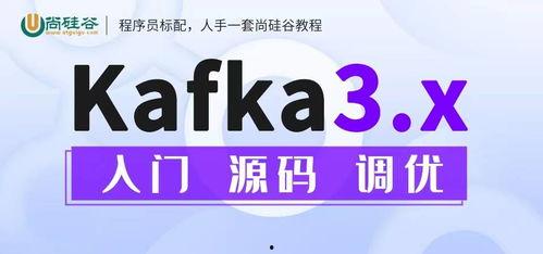 kafka视频,深入浅出掌握大数据实时处理技术