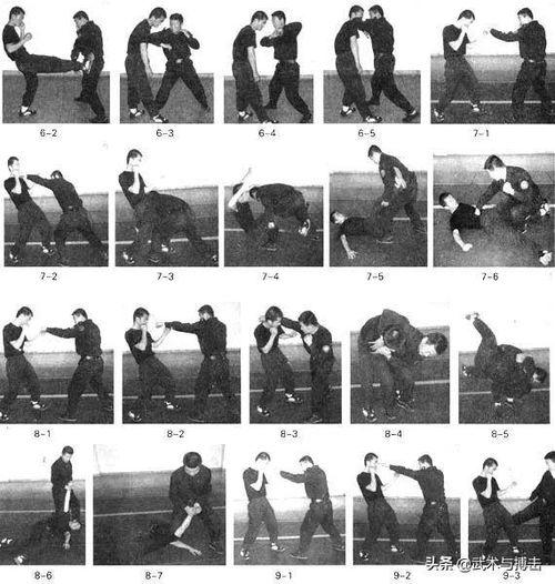 格斗术1到5教学视频,格斗术1-5级教学视频精华概述
