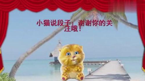 小猫讲笑话的视频,小猫讲笑话视频集锦