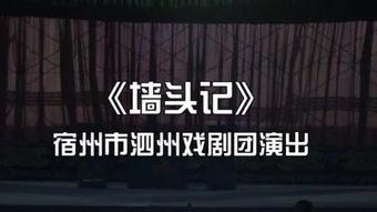 泗州戏大全视频,探寻传统戏曲艺术的魅力与传承